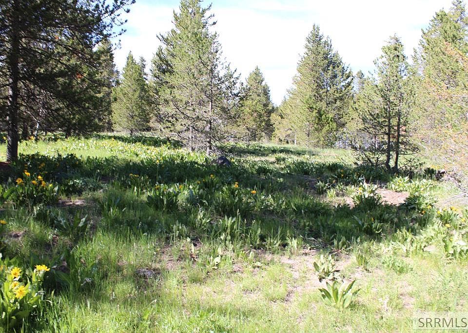1st image of 0 Buffalo North N