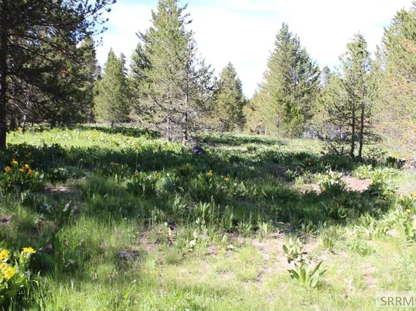 0 Buffalo North N, Island Park, ID 83429