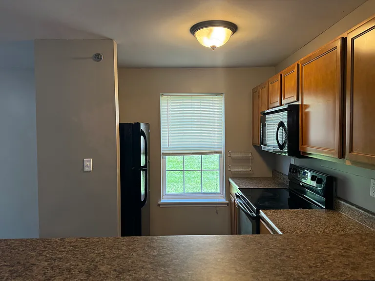 15102 Spring Creek Ln — Photo 14