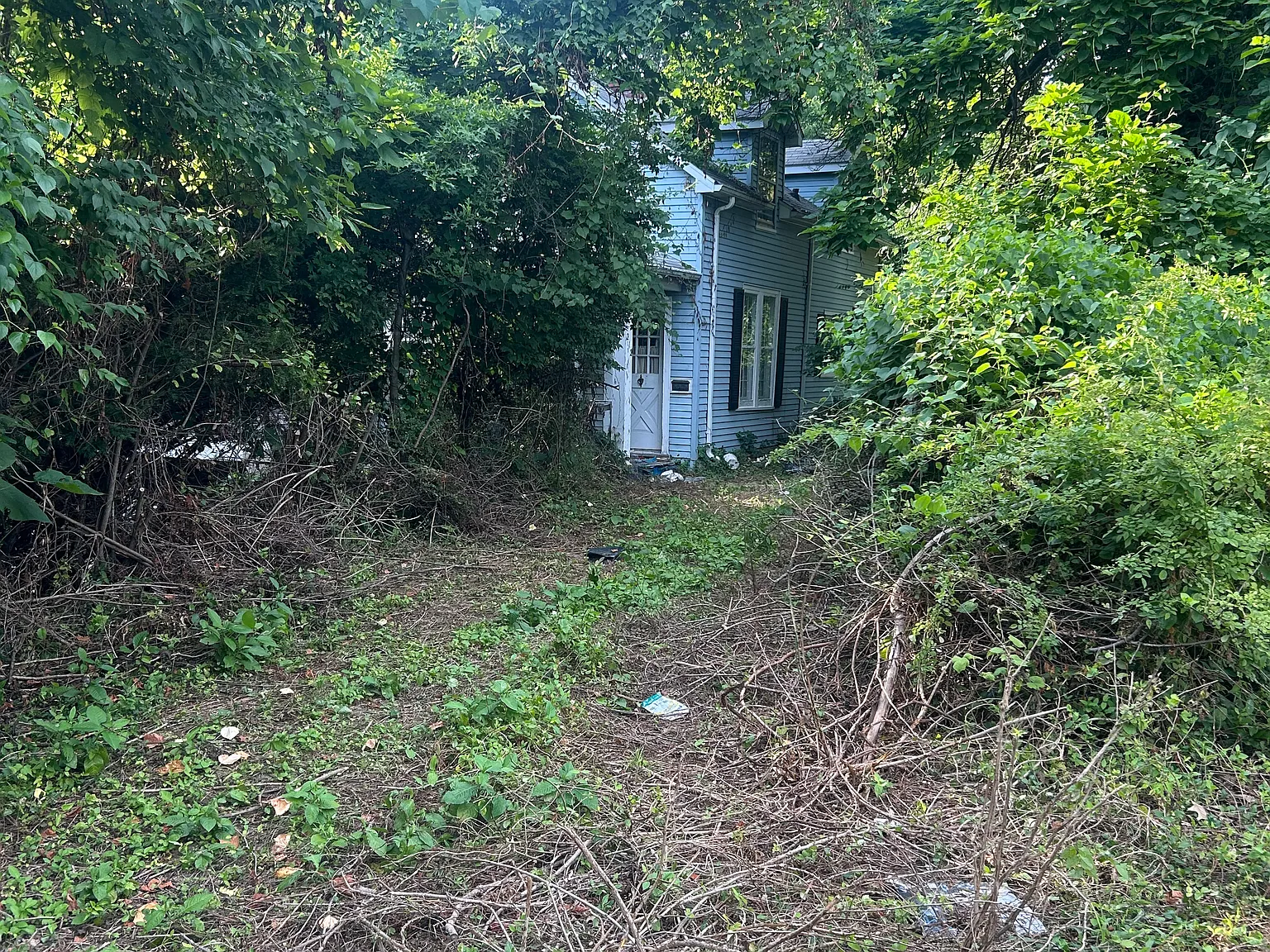 3 bed, 1384 sqft, $700 — Photo 3