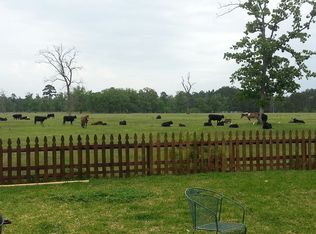 3551 Hamilton Bend Ln, Spring, TX 77386