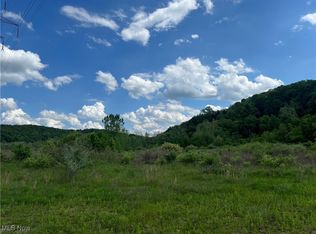 9405 Jackman Rd, Negley, OH 44441