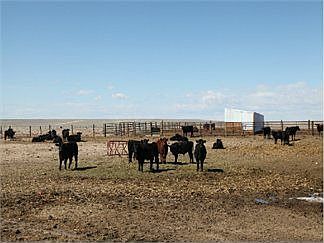 4th image of 52583 County Road 107