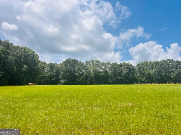 0 Fouche Rd, Buena Vista, GA 31803