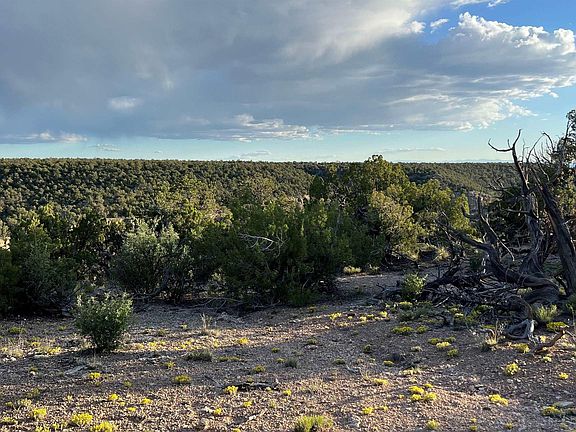 2nd image of Canyon View Rd