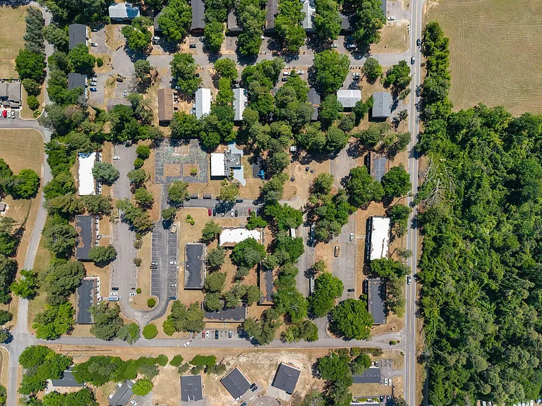 Pine Crest — Photo 50