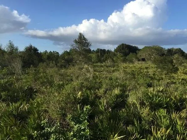 3512 Hicks Rd, Lorida, FL 33857