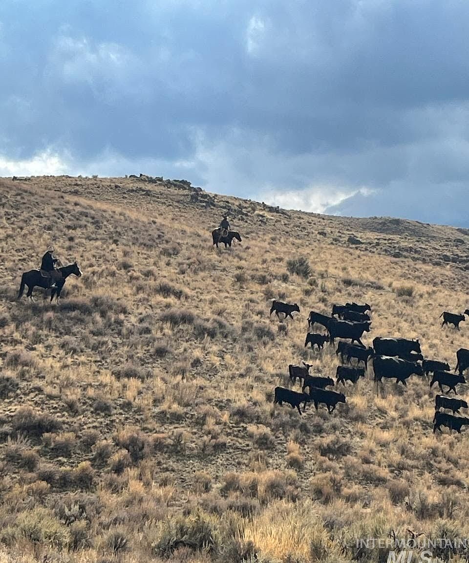 2838 Gold Creek Rd, Jarbidge, NV 89826 MLS 98901250 Zillow