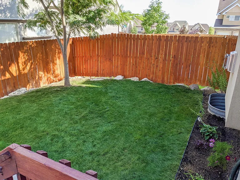 Back yard space