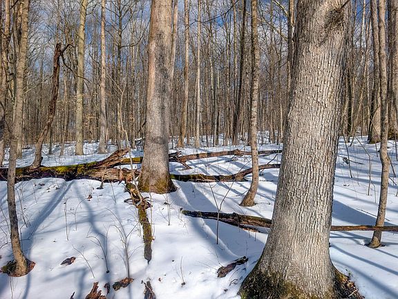 3rd image of 0 Peaker Run Rd Tract 15