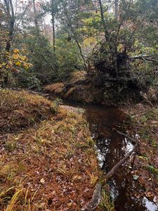 1 Pate Mill Road, Warrenton, GA, 30828