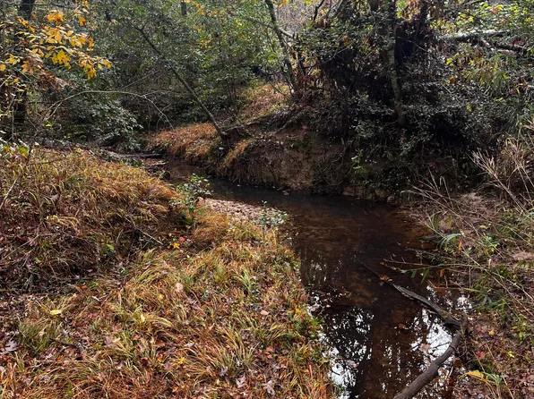 1 Pate Mill Road, Warrenton, GA 30828