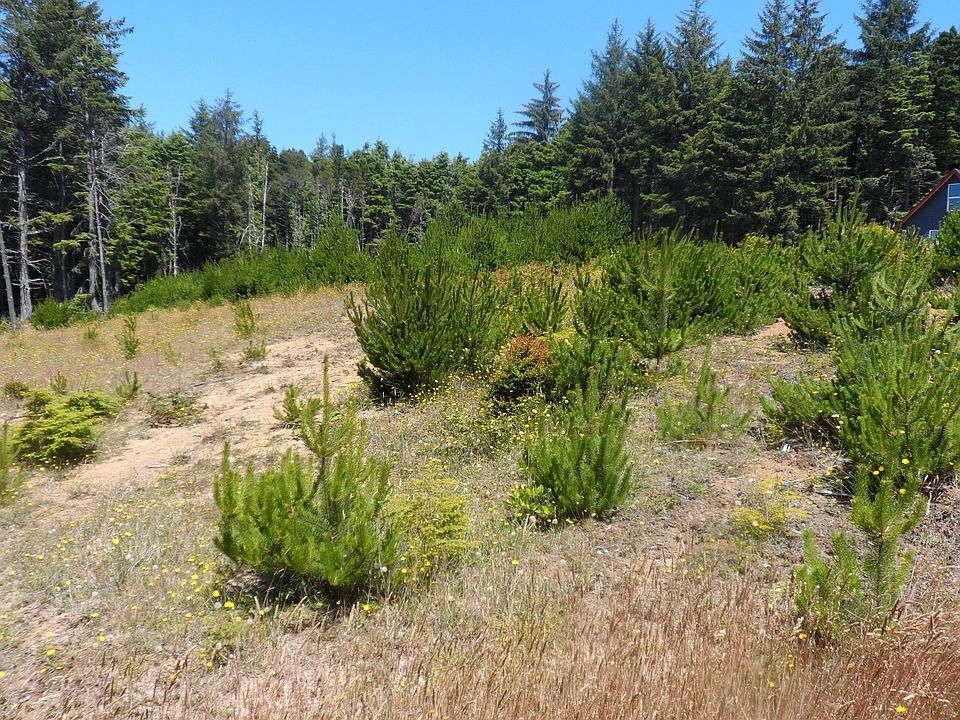 2nd image of TL 1 Se Wakeetum
