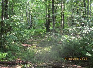 184 Hayes Rd, Goshen, VT 05733