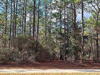 3rd image of SW 128th Terrace Rd Lot 13