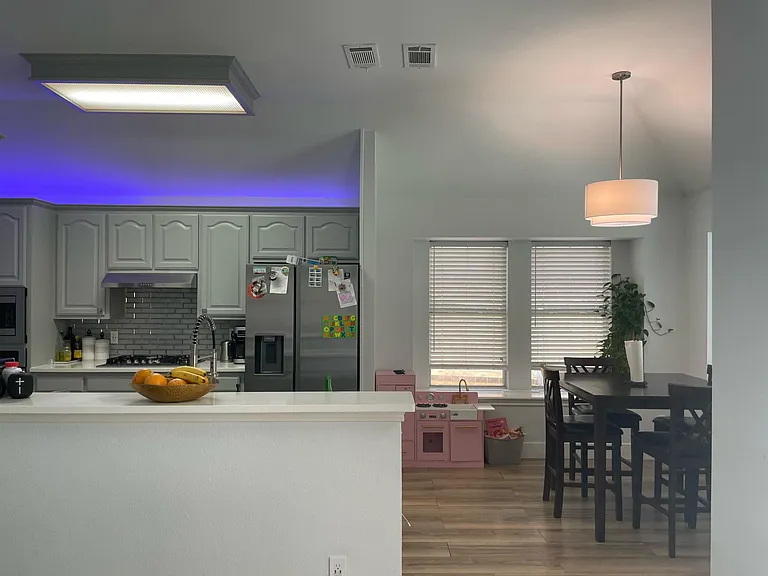 12812 Peach Tree Way — Photo 10