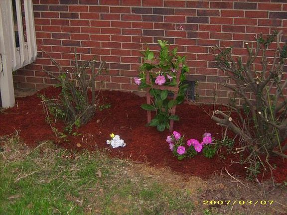 flowers in front of house