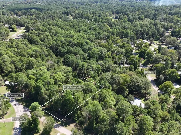 226 N Canyon Dr, Onalaska, TX 77360