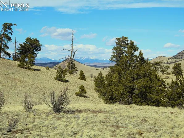 Ahlers Ln, Hartsel, CO 80449