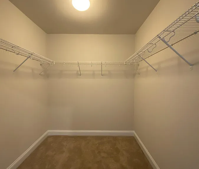 132 Spring Pine Ln — Photo 28