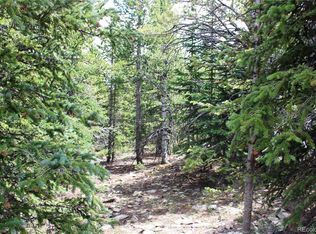 5285 Lucy Agnes LOT 5285, Black Hawk, CO 80422