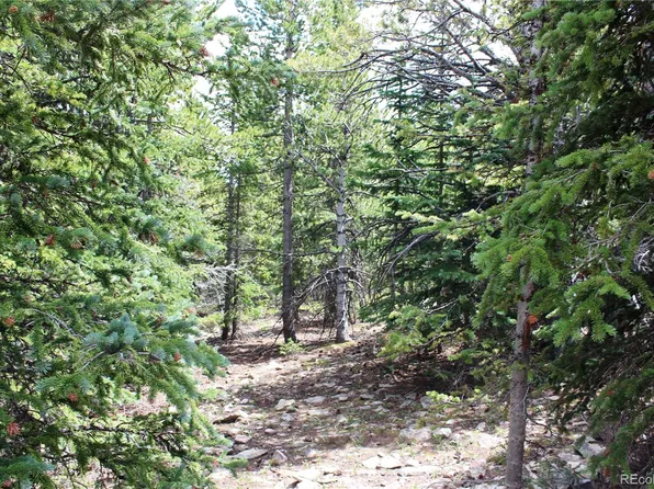 5285 Lucy Agnes LOT 5285, Black Hawk, CO 80422