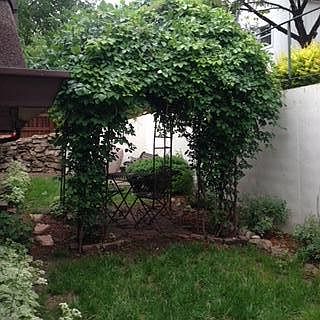 Gazebo/BBQ area