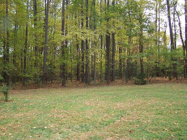 2nd image of 100 Black Stump Rd