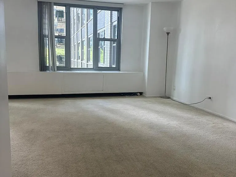 400 E Randolph St #921 — Photo 7