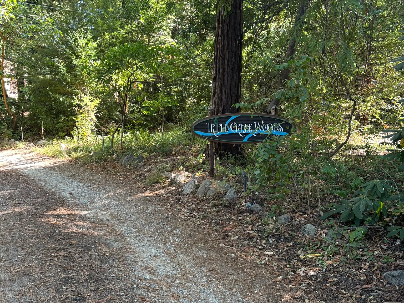 3 bed, $4,300 — Photo 2