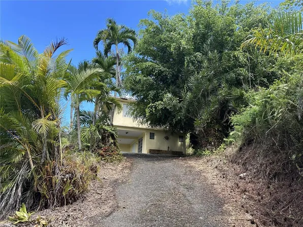 120 Carr, Sabana Grande, PR 00637