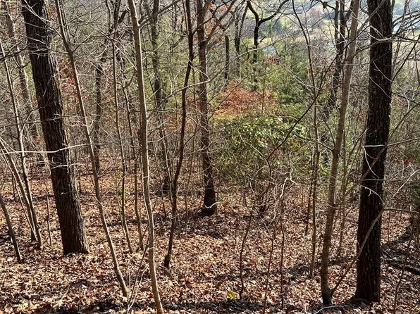 LOT 56-56C Indian Trl, Hayesville, NC 28904