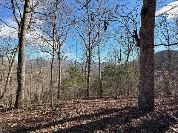 0 Clark Dr, Hiawassee, GA 30546