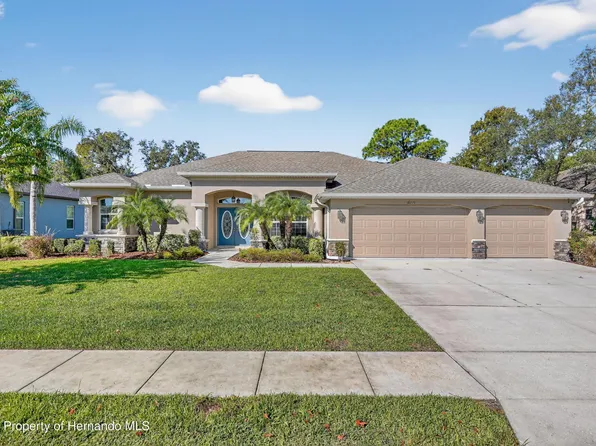 10271 Palmgren Ln, Spring Hill, FL 34608