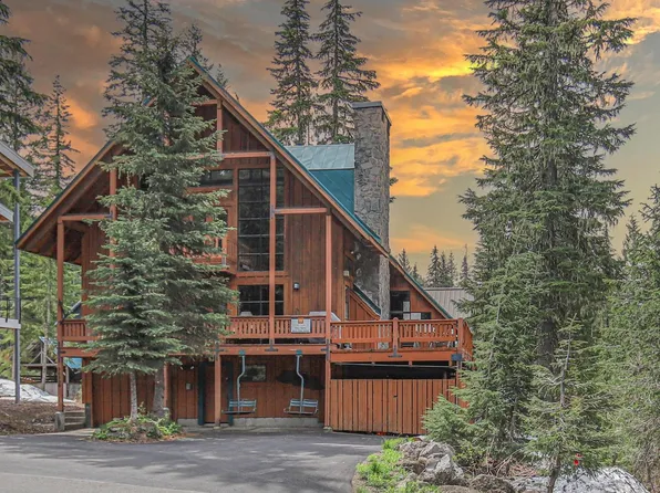 88330 E Mossytree Ln, Government Camp, OR 97028