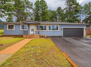 303 S Baldwin St, Woodland Park, CO 80863