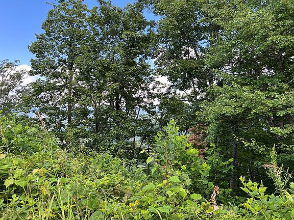 4th image of LOT-73M Ridges Overlook