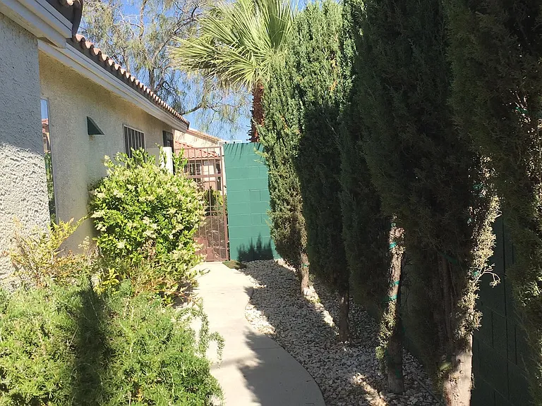 4371 Silver Bay St — Photo 14