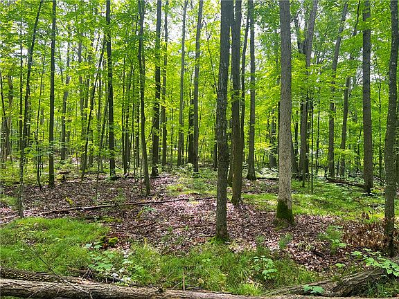 4th image of 3091N Forest Road