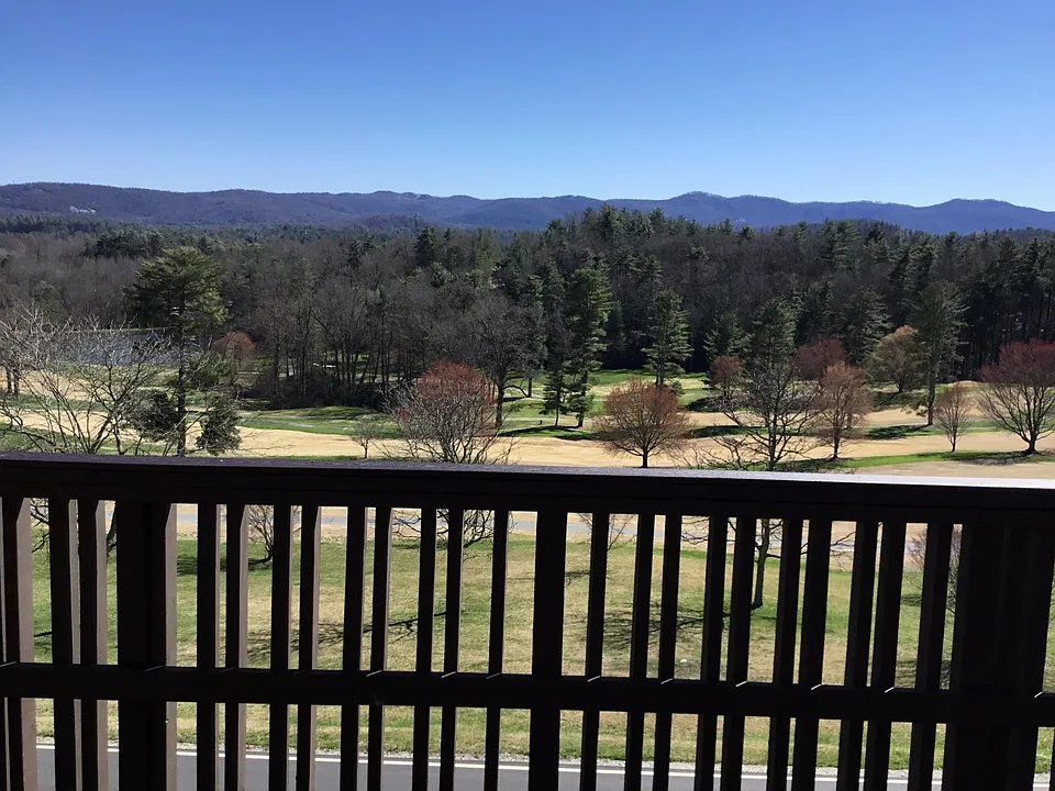 View from Living Room, Dining Room and Master Bedroom