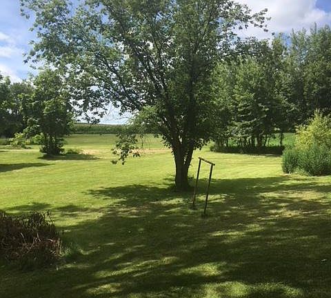 Back yard