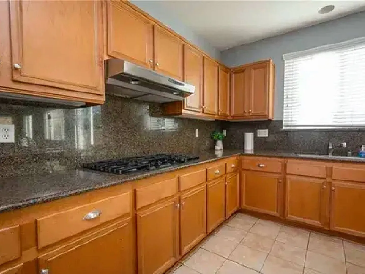 Rosetta Canyon Gem!- 4 Bedroom 3 Bath Plus Large Bonus Room. — Photo 2