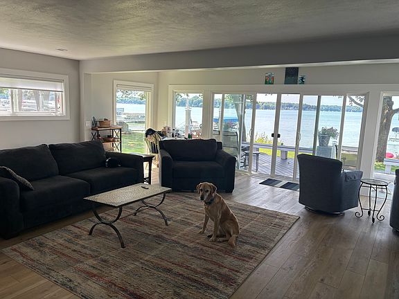 living room with Maddie (doesn't go on bed or furniture)