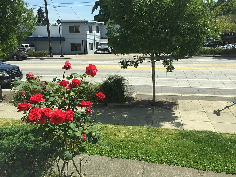 kentct01 — Photo 5
