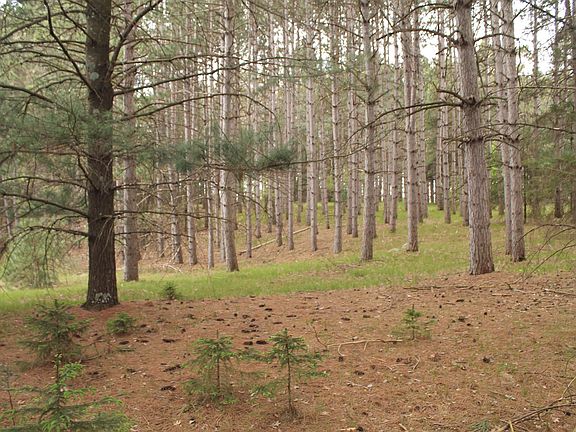 4th image of 8th Rd #1