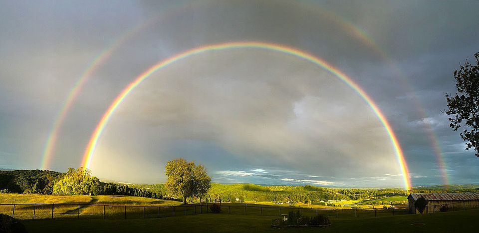 Majestic Symphony Hill