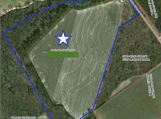 3372 Shillings Bridge Rd, Cope, SC 29038