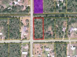 5950 Mango Ave, Bunnell, FL 32110