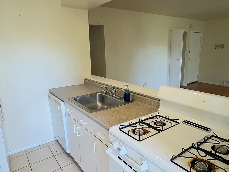 4520-1 Springfield Ave #C1 — Photo 5