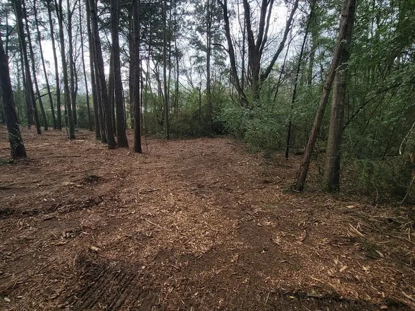 LOT 6 Blue Jay Dr, Kountze, TX 77625
